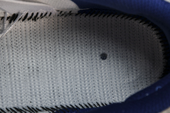 rayssa leal x nike dunk sb low fz5251-001