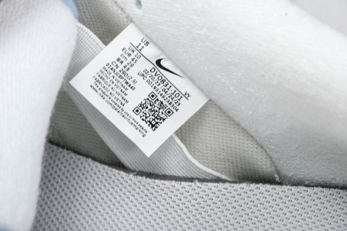 nike sb dunk low dv0831-101