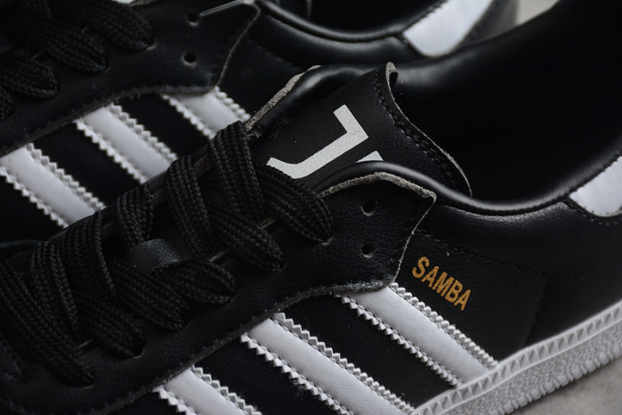 ad low-top sneaker 23031320