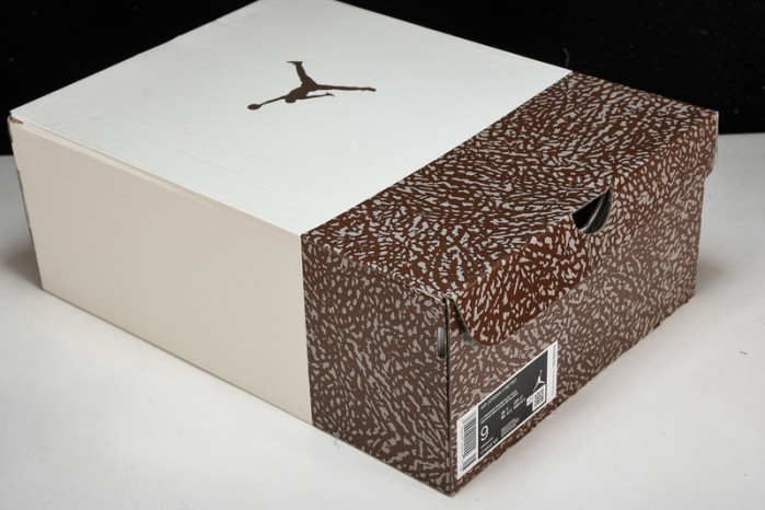 air jordan 3 "palomino" ct8532-102