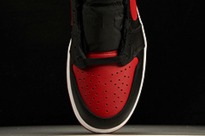 jordan 1 retro low bred 705329-001
