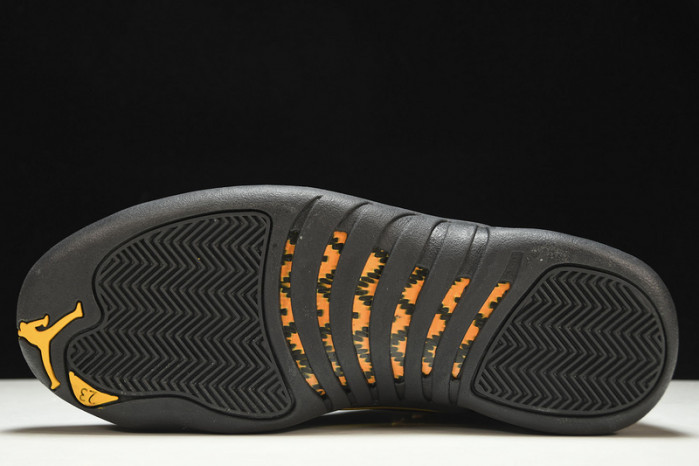 air jordan 12 “black taxi” ct8013-071