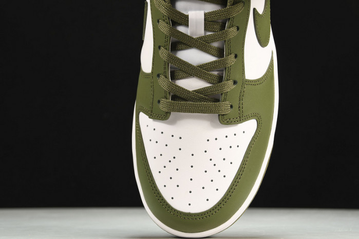 nike dunk low medium olive dd1503-120
