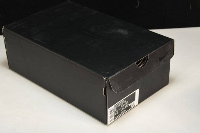 nike kobe 5 protro bruce lee cd4991-700