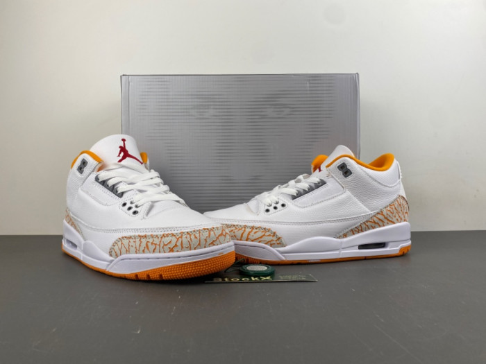 Jordan 3 CK9246-101